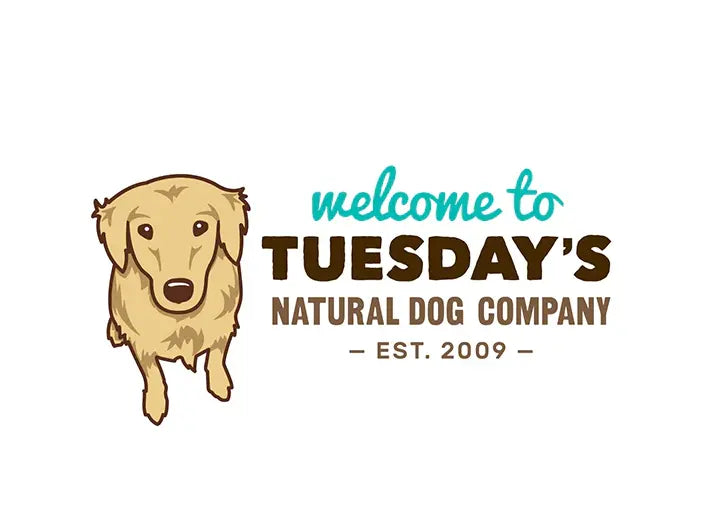Tuesday