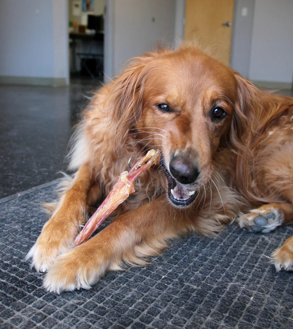 6" Beef Tendons