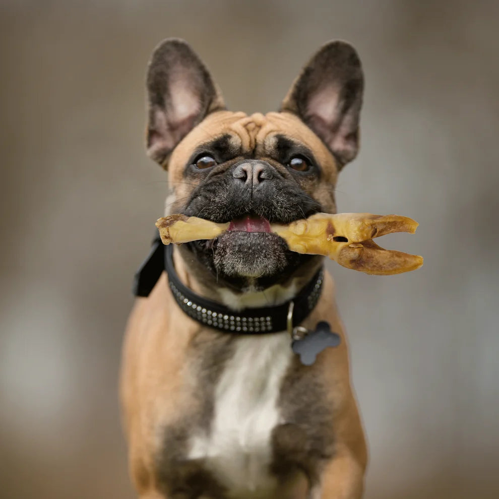 Lamb Feet - Odor Free