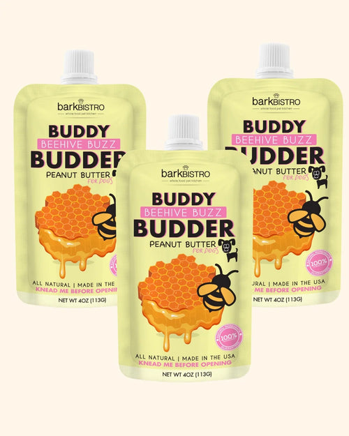 1pk Beehive Buzz Buddy Budder - Dog Peanut Butter