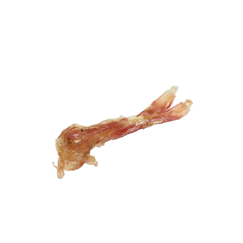 Beef Cattle Tendon