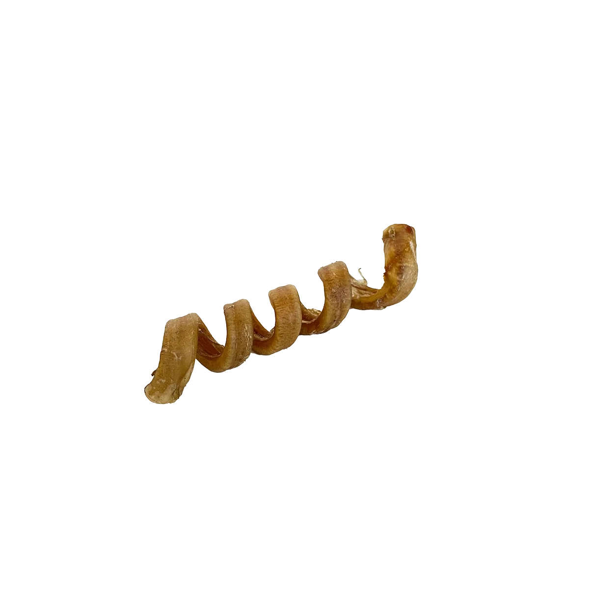 Water Buffalo Bully Spiral 6-7"