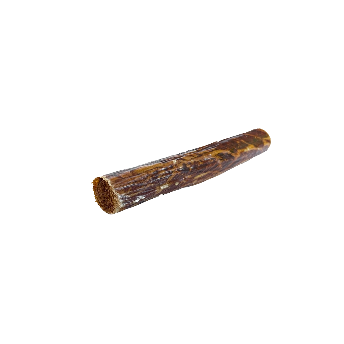 Beef Cattle Chomper Stuffed (Esophagus)