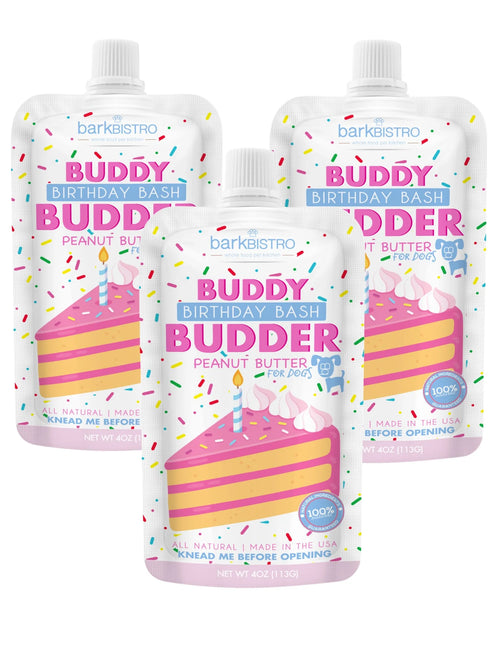 1pk Birthday Bash Buddy Budder - Dog Peanut Butter