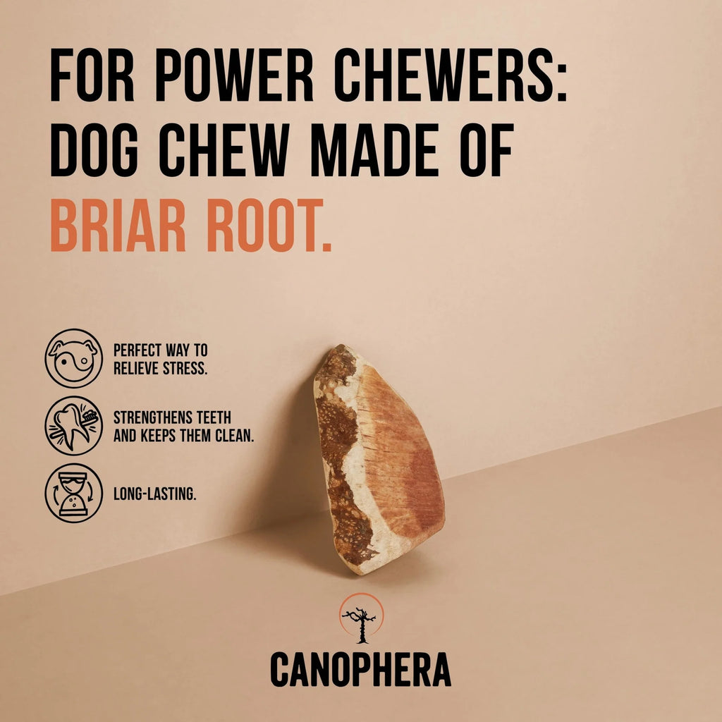 Briar Root Chews