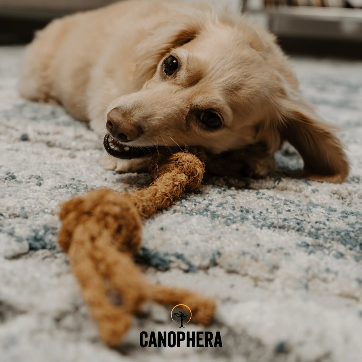 Coconut Rope Toys - CocoRing