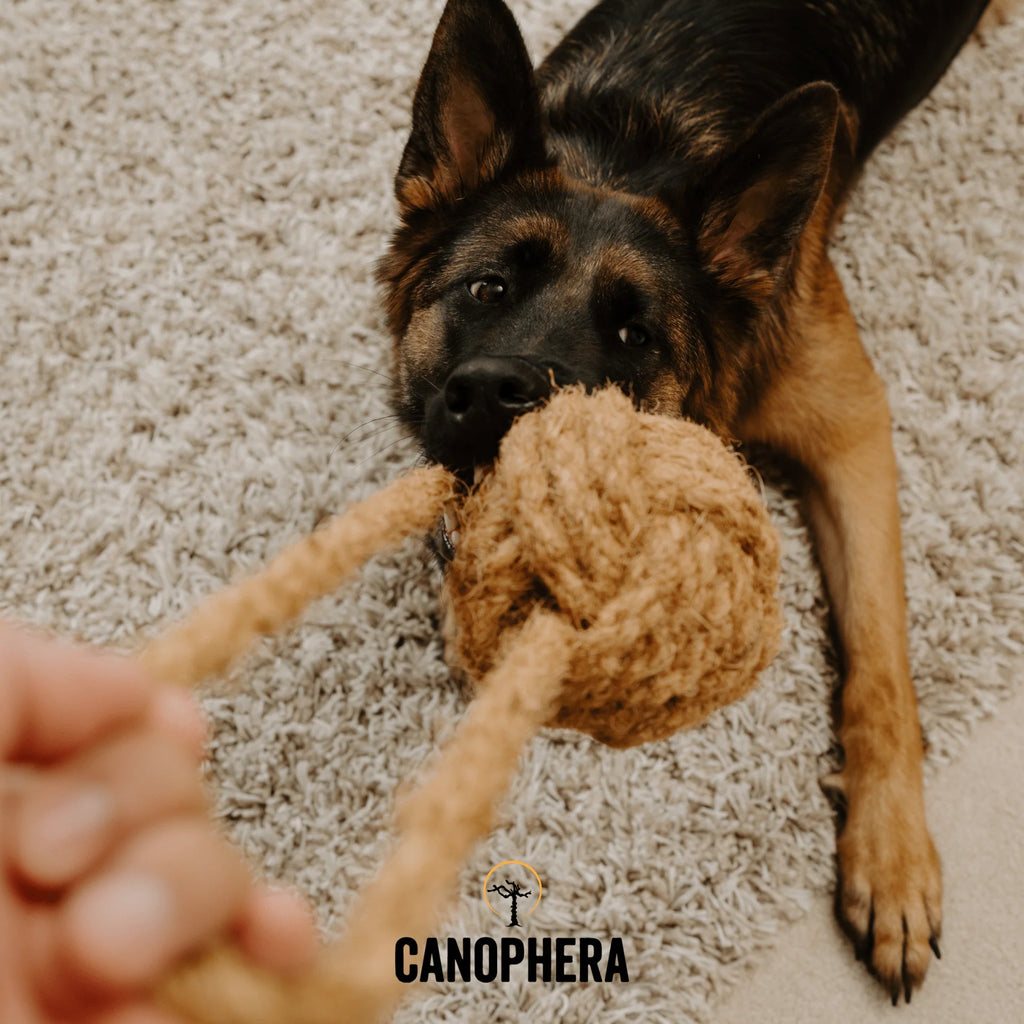 Coconut Rope Toys - Bradided CocoRing