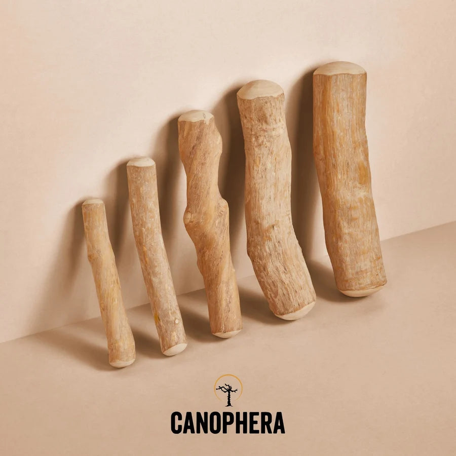 The Coffee Wood Chew Sticks