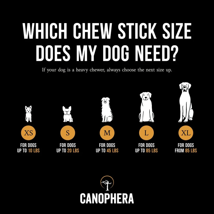 The Coffee Wood Chew Sticks