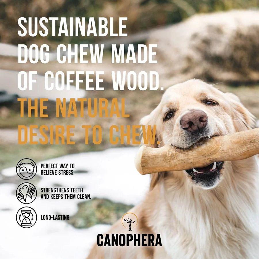The Coffee Wood Chew Sticks
