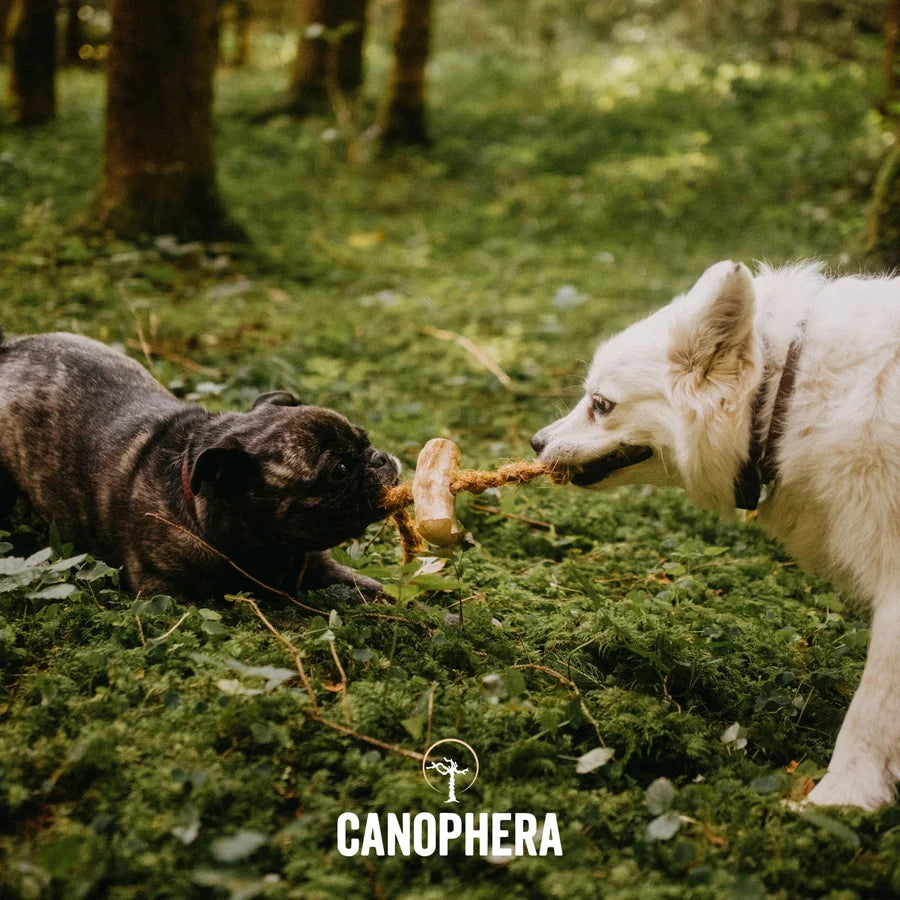 Coffee+Coco Chews