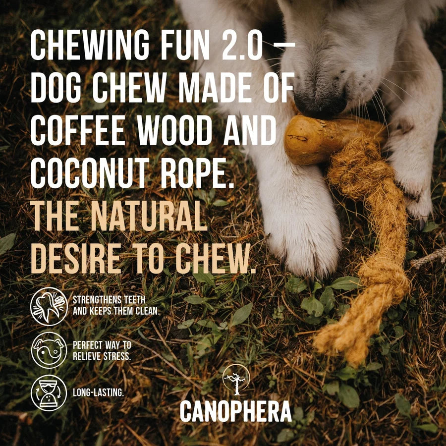 Coffee+Coco Chews