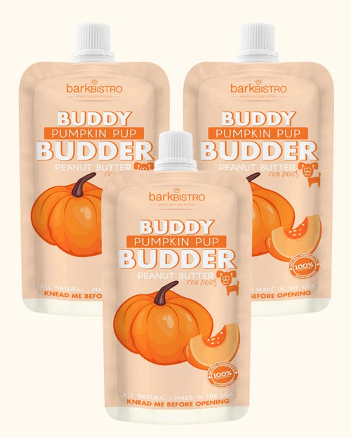 1pk Pumpkin Pup Buddy Budder - Dog Peanut Butter