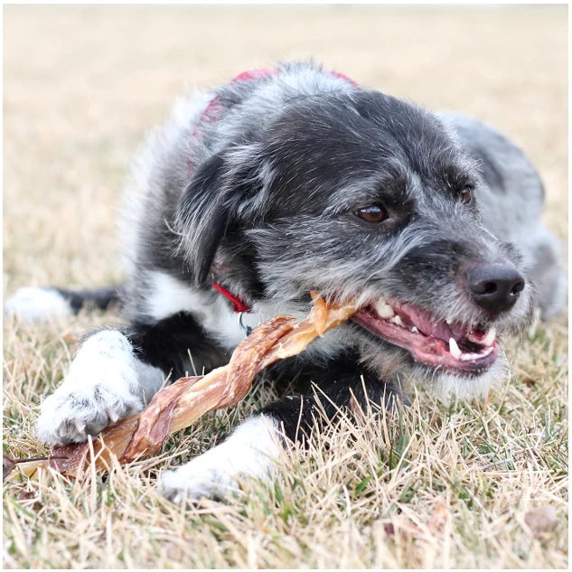 9"-12" Beef Combo Strap (Bulk)