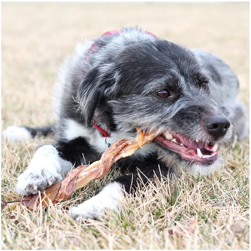 9"-12" Beef Combo Strap (Bulk)