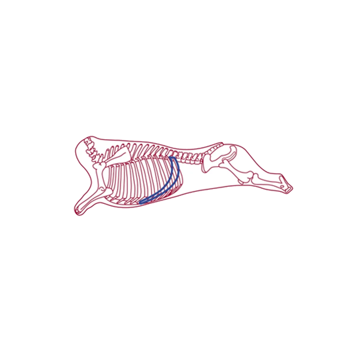 Skirt Steak Bar